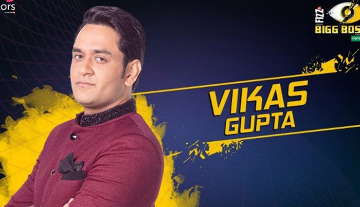 bigg boss 11 profile,bigg boss 11 gossip,profile of vikas gupta,vikas gupta,Salman Khan