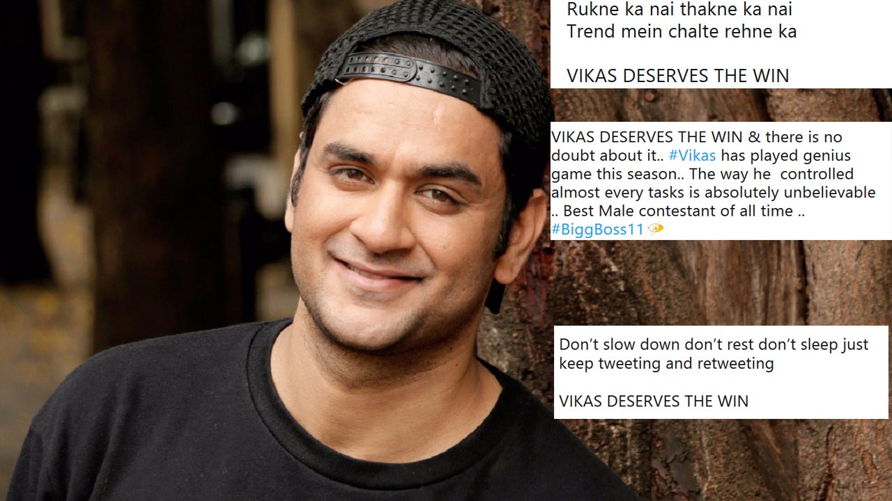 bigg boss 11,Salman Khan,vikas gupta,hina khan,Shilpa Shinde,puneesh,akash dadlani,tv show,reality tv show,entertainment,gossips