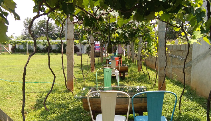vineyards in bangalore for wine lovers,vineyards in bangalore,holidays,travel,tourism
