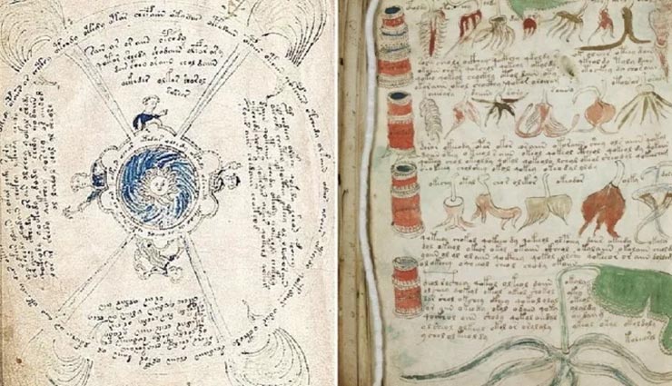 weird news,weird book,worlds most mysterious book,voynich manuscript,book language unable to decode