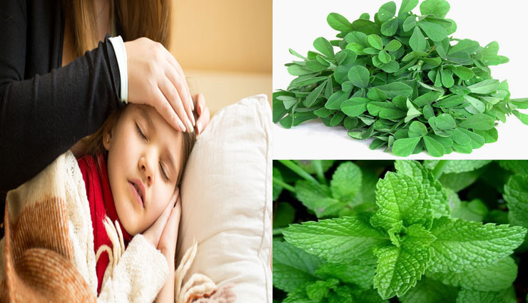 वायरल फीवर का रामबाण इलाज है ये 4 देसी चीजें, कुछ ही समय में दिखाती है अपना असर Health tips,viral fever,viral fever treatment,indigenous things,home remedies,dengue,malaria