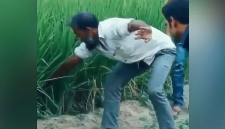 खेत में सांप पकड़ने की कोशिश कर रहा था शख्स, लेकिन निकला कुछ ऐसा देखकर सब हुए हैरान, VIDEO वायरल
