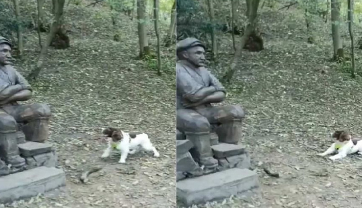 मूर्ती को इंसान समझ कुत्ते ने किया ऐसा व्यवहार कि वायरल हो गया VIDEO, देखें यहां 
