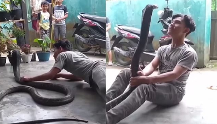 VIDEO : इंटरनेट पर तहलका मचा रहा किंग कोबरा के साथ इस लड़के का डांस 