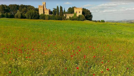 virat kohli,anushka sharma,marriage,cricket,bollywood,bollywood gossips,bollywood news