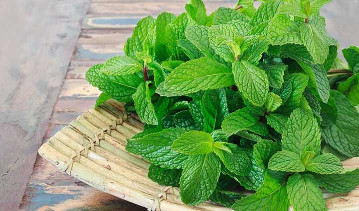 cafe style virgin mojito,food,easy recipe