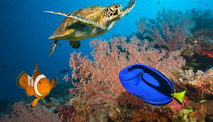 virtual ocean adventures,exploring shipwrecks,virtual coral reef,virtual dolphin diving,explore kelp forest coastlines,virtual turtle tours,virtual diving with sharks
