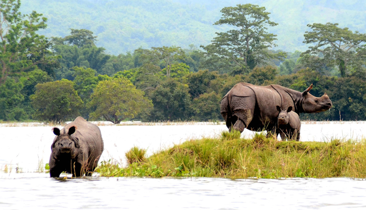 unesco world heritage sites to visit in india