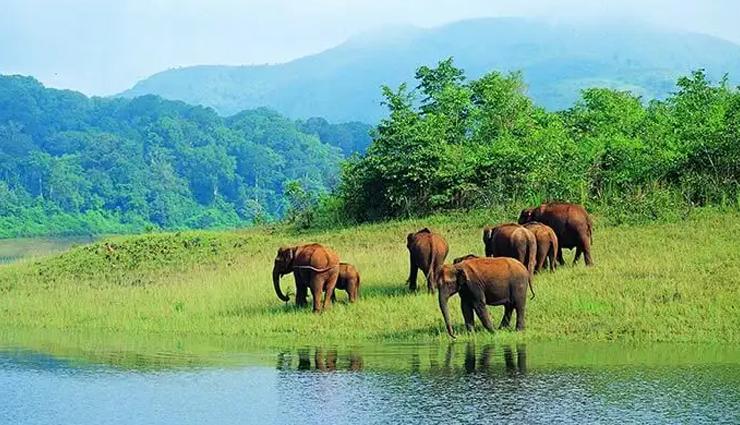 amazing places to visit in spring in india,holiday,travel,tourism