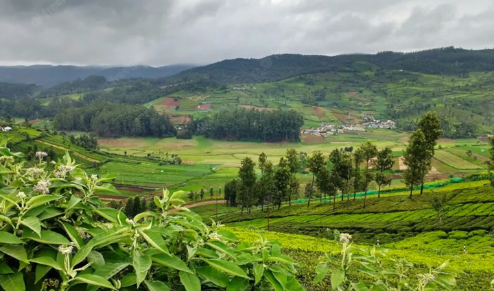 enjoy traveling with warmth in the cold winter plan a trip to these places,holiday,travel,tourism