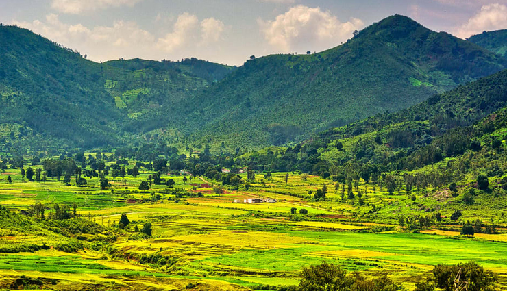 amazing places to visit in spring in india,holiday,travel,tourism