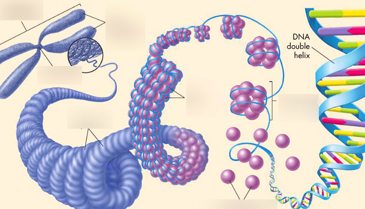 vitamin a,health benefits of vitamin a,vitamin a for your health,Health tips,fitness tips