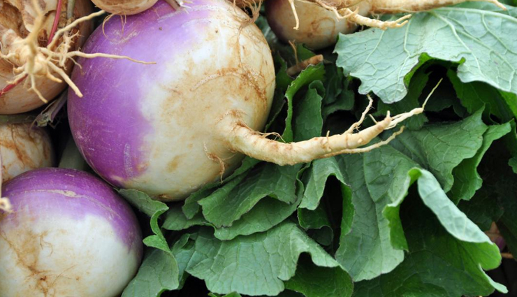 vitamin k rich food,Health tips,fitness tips