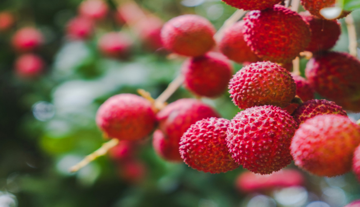 lychee fruit,health benefits of lychee,benefits of lychee,lychee makes you healthy,healthy living,Health tips