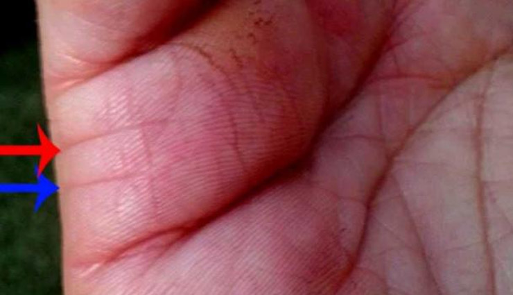 जानिए हस्तरेखा विशेषज्ञ के अनुसार विवाह रेखा से जुड़ी कुछ खास बातें