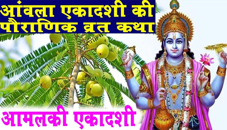 आमलकी एकादशी व्रत पूर्ण करता हैं सभी मनोकामनाएं, जानें इसकी कथा और महत्व