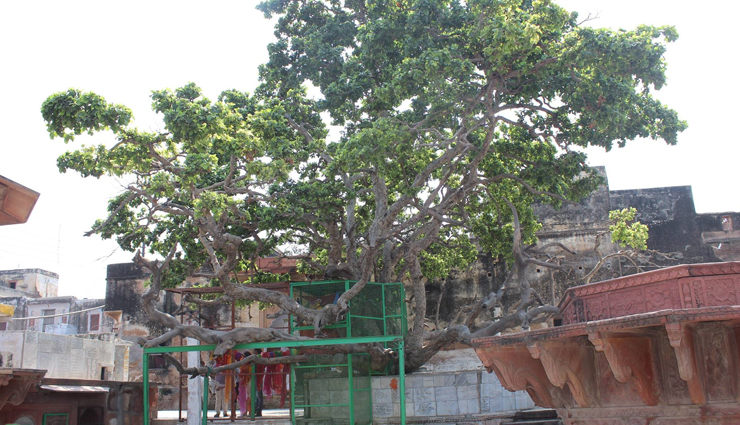 vrindavan,ghats in vrindavan,famous ghats,keshi ghat,radha bagh ghat,sri andhra chat ghat,kaliya daman ghat,sri varaha ghat,cheer ghat,bihari ghat,surya ghat