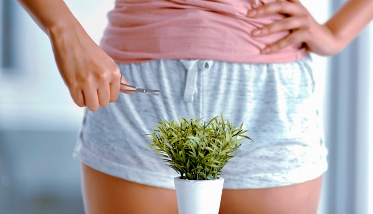 योनी के बालों से छुटकारा पाना चाहती हैं तो आजमाएं ये तरीके, जानें इनके बारे में 