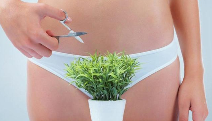 योनी के बालों से छुटकारा पाना चाहती हैं तो आजमाएं ये तरीके, जानें इनके बारे में vulva hair,how to remove vulva hair,vulva hair removing,home remedies to remove vulva hair