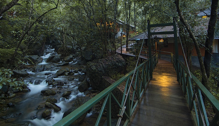 केरल में स्थित वायनाड की खूबसूरती का हर कोई दीवाना, हनीमून के लिए बेस्ट डेस्टिनेशन natural wonders in wayanad,wayanad hill stations and resorts,wayanad travel guide,popular destinations in kerala,wayanad wildlife sanctuaries,wayanad adventure tourism,charming places in wayanad,family-friendly attractions in wayanad,wayanad historical landmarks,cultural experiences in kerala,ecotourism in wayanad,wayanad offbeat destinations,best viewpoints in wayanad,wayanad waterfalls and lakes,wayanad trekking trails,best places to visit in wayanad,wayanad tourist attractions,kerala travel destinations,scenic spots in wayanad,must-visit places in kerala,wayanad hill stations,kerala nature tourism,historical sites in wayanad