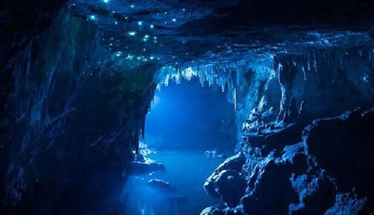 जादुई दुनिया जैसी लगती हैं ये गुफाएं, जो चमकती हैं अंधेरे में waitomo caves new zealand,glow in the dark caves,waitomo glowworms,natural wonders in new zealand,arachnocampa luminosa glowworms,things to do in waitomo caves,waitomo caves tour,new zealand glowworm caves,waitomo caves attractions