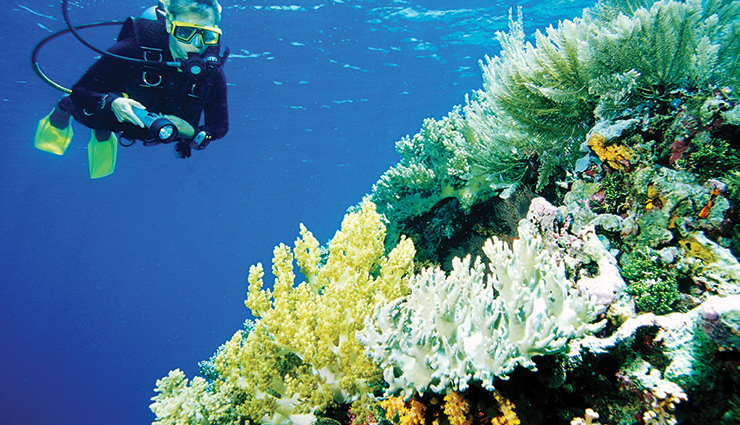 southeast asia,diving in southeast asia,amazing places to try diving in southeast asia,raja ampat,indonesia,tubbataha reef,philippines,pulau sipadan,malaysia,surin islands,thailand,bunaken,indonesia,coron,philippines,wakatobi islands,indonesia,koh tao,komodo national park,travel.holidays,travel guide