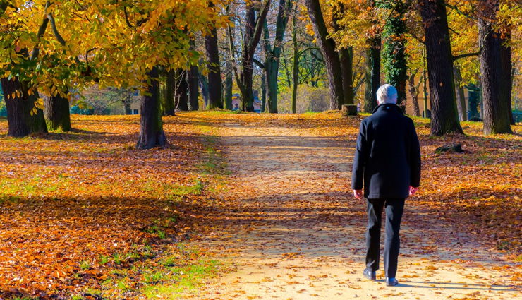 astrology tips,astrology tips in hindi,shani amavasya,solar eclipse