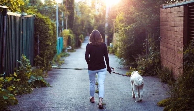 how to stay awake after lunch,beat afternoon sleepiness,natural ways to stay alert at work,post-lunch drowsiness remedies,tips to fight mid-afternoon slump,stay productive after lunch,avoid caffeine slump,desk-friendly alertness tips,combat sleepiness naturally,energy boost after lunch