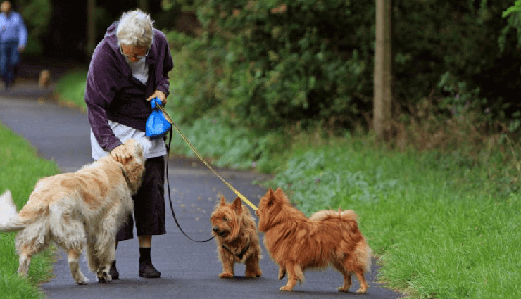 9 Health Benefits of Dog Walking on Humans