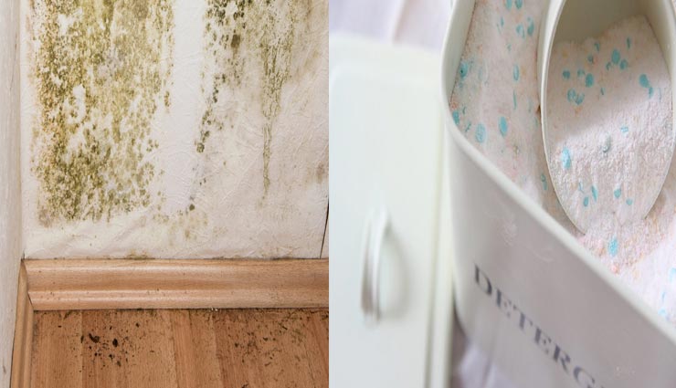 fungus stings remedies,wall fungus smell remedies,home remedies,remove fungus stings in the walls