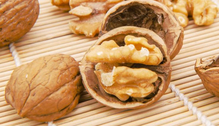 walnut,walnut benefits,fiber,protein,vitamin,omega-3,walnut health benefits,diabeties,cancer,fat,Health,health benefits in hindi