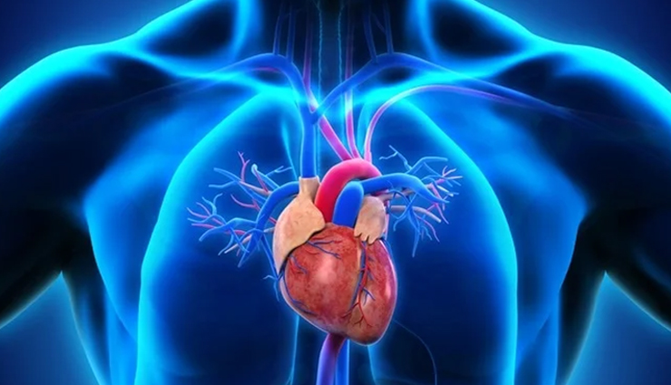 health benefits of eating walnuts,walnuts,walnuts benefits,Health tips,fitness tips