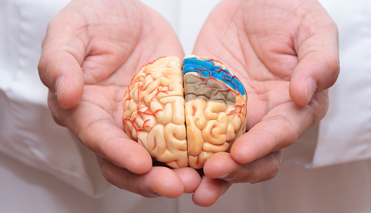 walnuts,walnuts for brain,health benefits of walnuts,Health tips,fitness tips