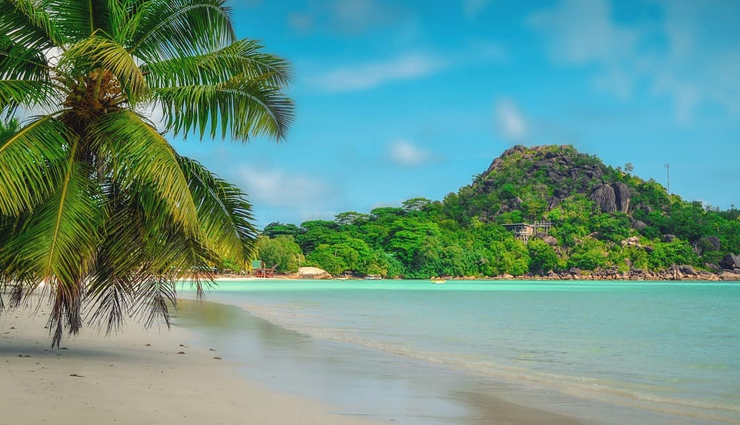 5 Beautiful Beaches To Visit Near Washington, DC