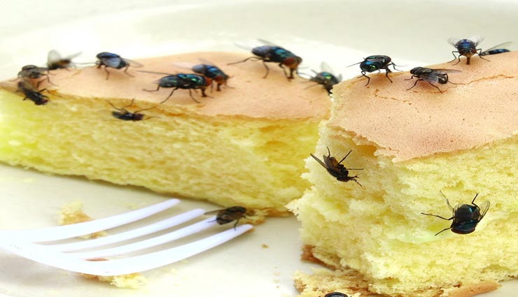 बासी खाना कर सकता है गर्मियों में आपको परेशान, बनता है इन बिमारियों का कारण