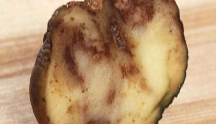 weird news,weird incident,great famine ireland,died due to potato