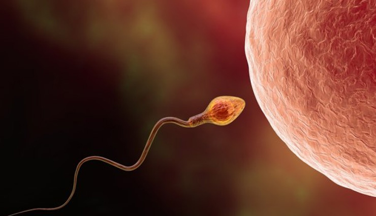 Health,sperm,sperm count,watching tv reduce sperm count,Health tips