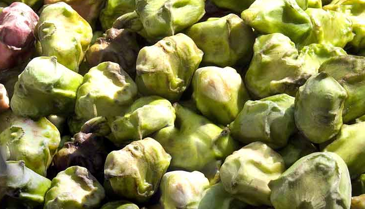 chestnut,water chestnut,water chestnut benefits,health benefits of water chestnut,healthy food water chestnut,healthy life,healthy living,health benefits,Health