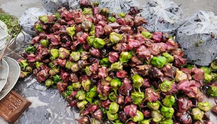 health benefits of water chestnut,water chestnut,Health tips,fitness tips