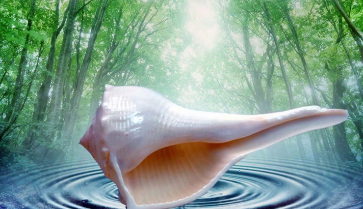 astrology tips,astrology tips in hindi,sprinkle water from shankh,worship by shankh