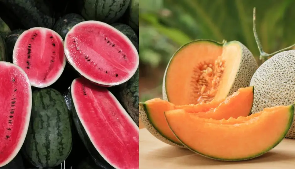क्या खाली पेट तरबूज और खरबूज खाना सही है? जानिए फायदे, नुकसान और किन लोगों को रखनी चाहिए सावधानियां