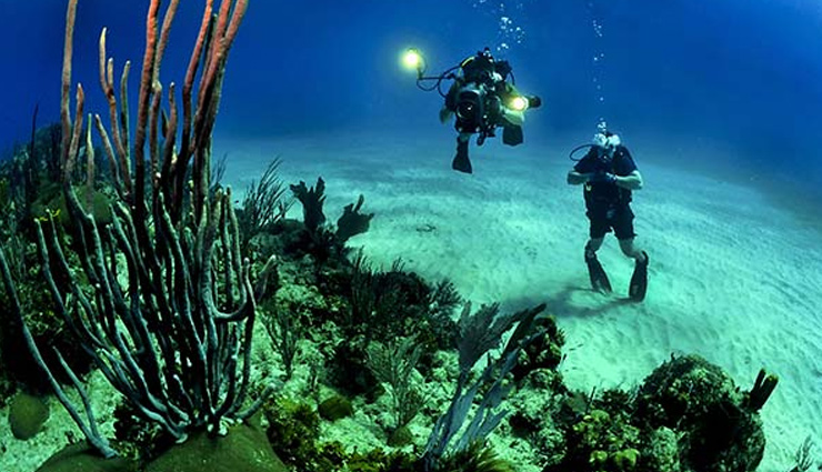 वॉटर स्पोर्ट्स का मजा लेना हैं तो पहुंच जाइये भारत की इन 8 लोकेशन, मिलेगा एडवेंचर का रोमांच top water sports destinations in india,best places for water activities in india,indian spots for water sports enthusiasts,popular water sports locations in india,exciting water sports destinations in india,must-visit spots for water activities in india,water adventure hotspots in india,indian destinations for thrilling water sports,prime locations for water sports in india,best indian places for aquatic sports