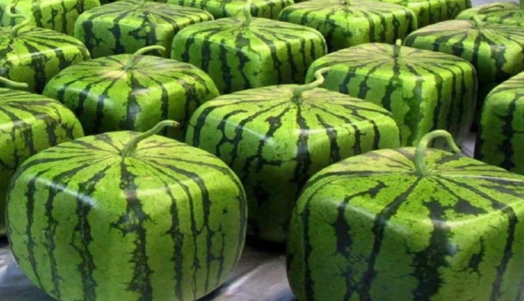 इन फलों की कीमत उड़ा देगी आपके होश, खाने के लिए बेचना ना पड़ जाए अपना घर