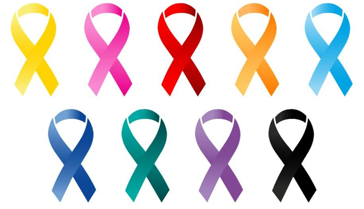 watermelon,health benefits of watermelon,Health tips,fitness tips