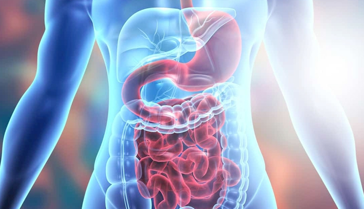 watermelon health benefits,nutritional benefits of watermelon,health benefits of eating watermelon,benefits of watermelon for skin,watermelon benefits for weight loss,watermelon benefits for hydration,why watermelon is good for you,watermelon health benefits for men,benefits of watermelon seeds,watermelon benefits for digestion,watermelon juice benefits,watermelon benefits for heart health,watermelon benefits for blood pressure,benefits of watermelon for athletes,watermelon benefits for immune system,watermelon benefits for eyesight