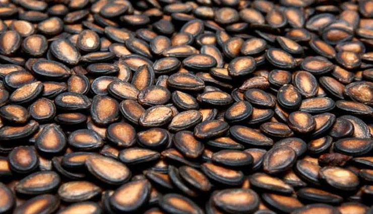 watermelon seeds,health benefits of watermelon seeds,Health tips,fitness tips