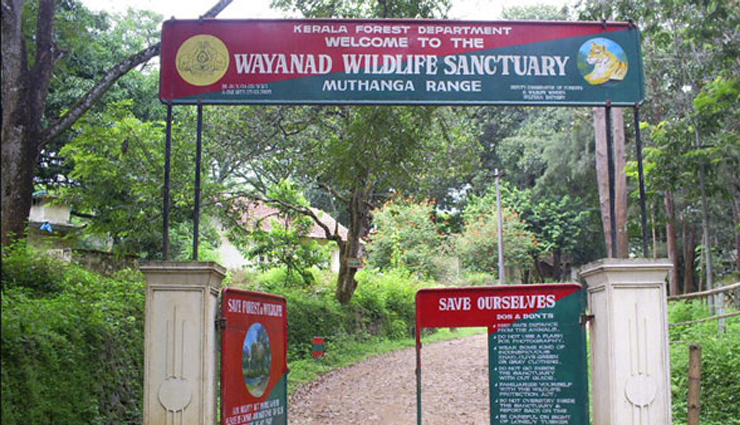 केरल में स्थित वायनाड की खूबसूरती का हर कोई दीवाना, हनीमून के लिए बेस्ट डेस्टिनेशन natural wonders in wayanad,wayanad hill stations and resorts,wayanad travel guide,popular destinations in kerala,wayanad wildlife sanctuaries,wayanad adventure tourism,charming places in wayanad,family-friendly attractions in wayanad,wayanad historical landmarks,cultural experiences in kerala,ecotourism in wayanad,wayanad offbeat destinations,best viewpoints in wayanad,wayanad waterfalls and lakes,wayanad trekking trails,best places to visit in wayanad,wayanad tourist attractions,kerala travel destinations,scenic spots in wayanad,must-visit places in kerala,wayanad hill stations,kerala nature tourism,historical sites in wayanad