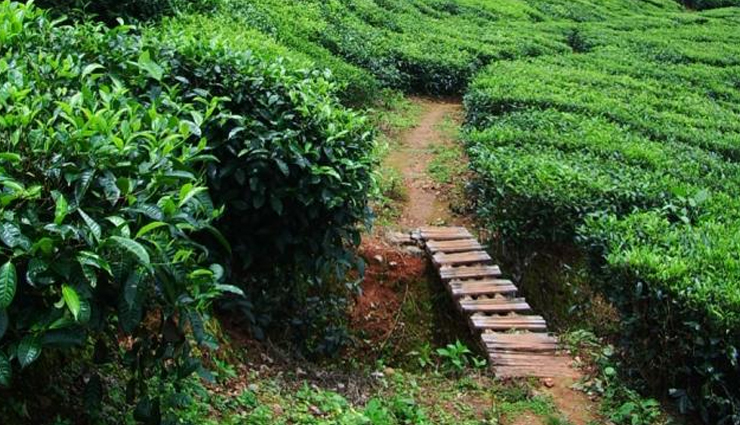 wayanad,tourist attraction in wayanad,places to visit in wayanad,pozuthana,kolagappara,karapuzha dam,varambetta mosque,wayanad heritage museum