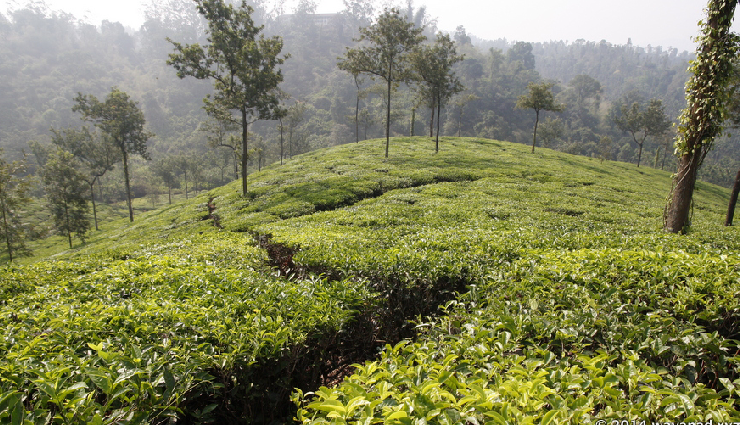 western ghats hill stations,breathtaking hill getaways,scenic beauty of western ghats,must-visit western ghats destinations,charming hill retreats in the ghats,western ghats travel experiences,picturesque mountain escapes,best views in western ghats,unexplored hill stations ghats,western ghats hillside beauty