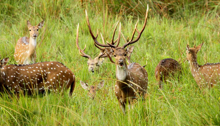 keralas wayanad,kerala tourism,tourist places in kerala,wayanad places,travel,holidays,tourism